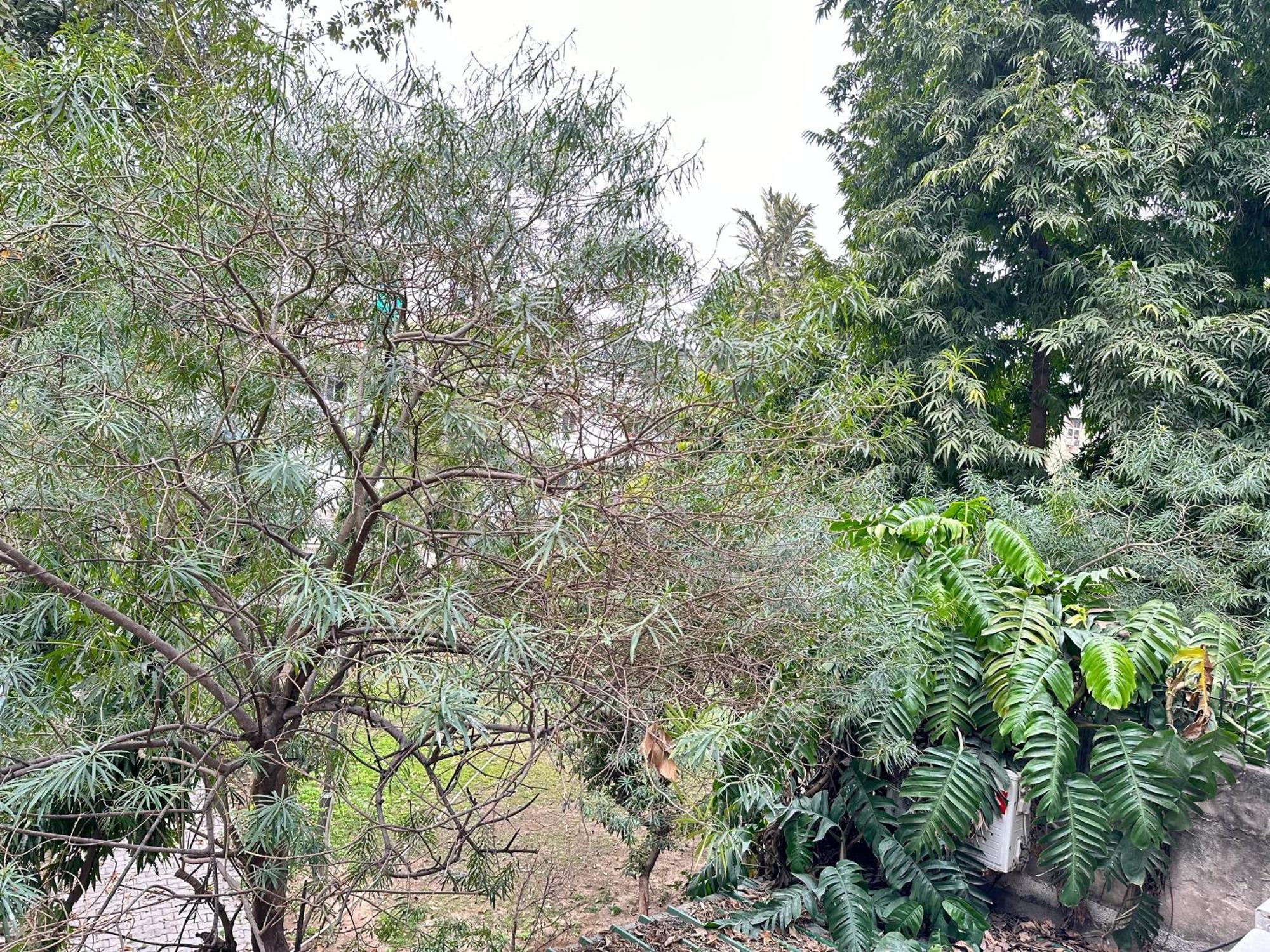 Hotel Grove Residency Hauz Khas New Delhi Couple Friendly Zewnętrze zdjęcie